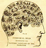 Gert Germeraad - Portraiture - Phrenology accordingto Joseph Gall