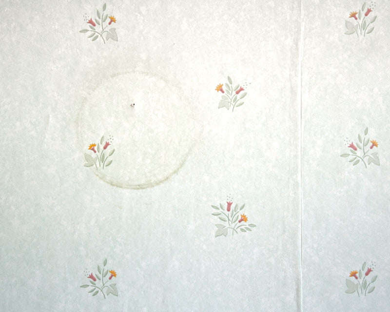 Husens poesi, a book on old wallpapers